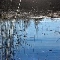 "Winter In The  Meadows", oil/canvas