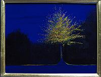 "Night Light"