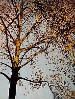 "Sitting In The Evening Sun"